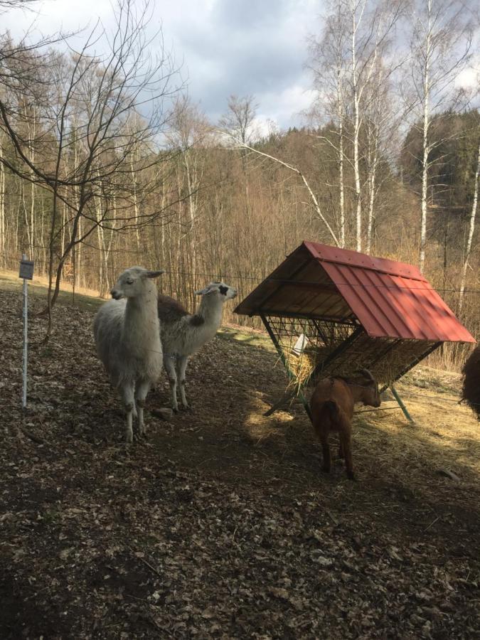 Apartman Hopi Hopi Svoboda nad Úpou 외부 사진